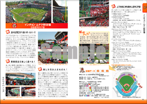 韓国プロ野球観戦ガイド＆選手名鑑2011